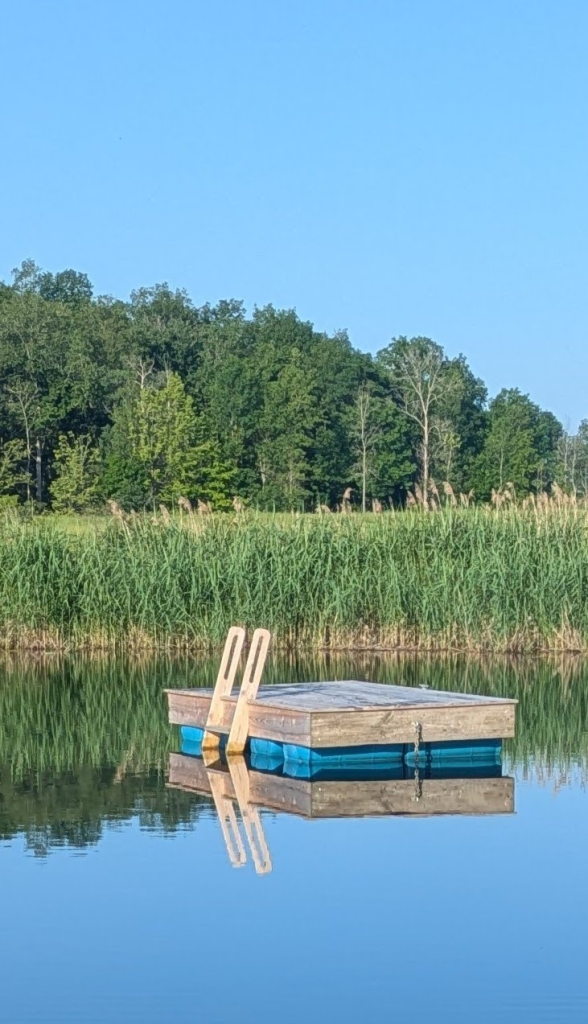 pxl 20250624 113002638.mp3 edit.webp